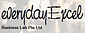 EverydayExcel Business Lab Pte Ltd