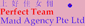Perfect Team Maid Agency Pte Ltd