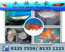 The Fish Home Aquarium