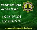 Monkey Forest
