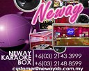 Neway Karaoke Box