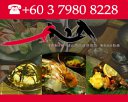 Ishin Japanese Dining